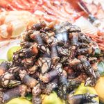 BM PERCEBES