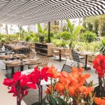 TERRAZA_FLORES-scaled-885x592