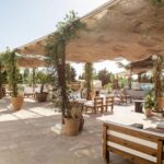 Copiade528-Terrace_Sofia-Gomez-Fonzo-62
